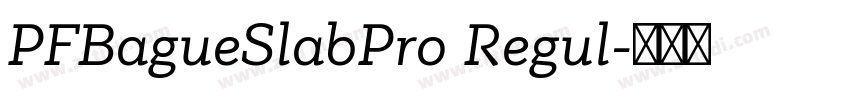 PFBagueSlabPro Regul字体转换